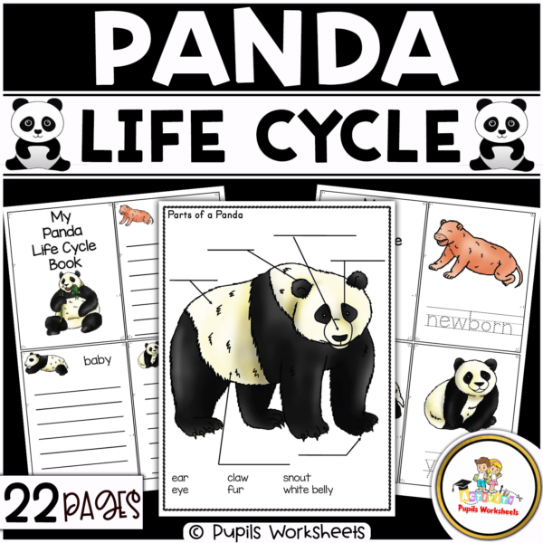 Panda Life Cycle